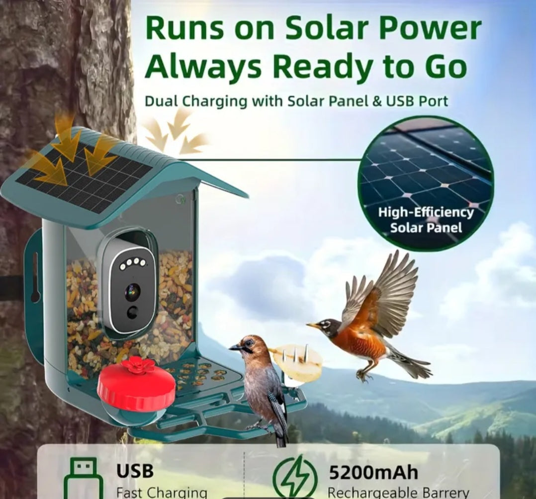 Smart Solar Bird Feeder with Camera – Outdoor Wildlife Monitoring System